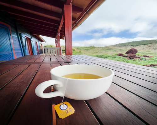 Green tea cup on wooden table relaxation
